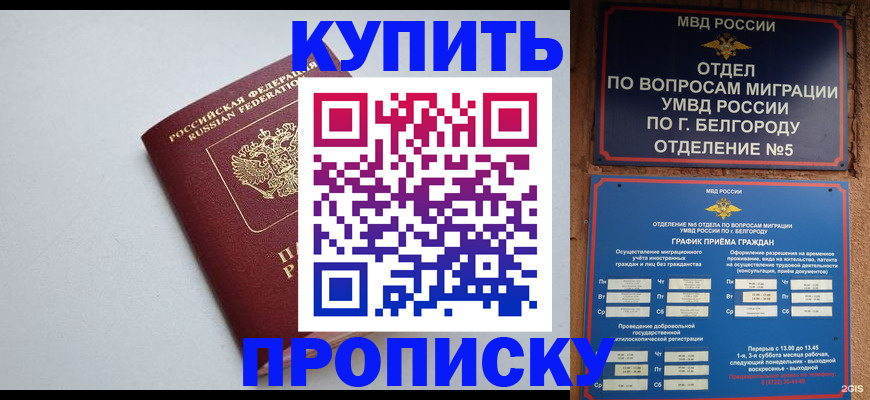 прописка регистрация в Тайге